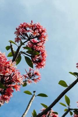 SF Hiking with Vanya & Sid frame 29