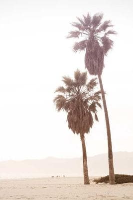 First Roll Ever frame 15