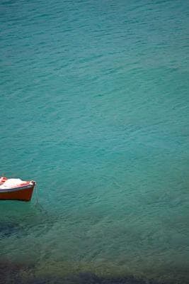 SF Hiking with Vanya & Sid frame 3