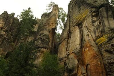 First Roll Ever frame 19