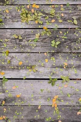 First Roll Ever frame 20