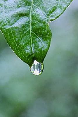 SF Hiking with Vanya & Sid frame 8