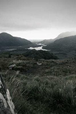 SF Hiking with Vanya & Sid frame 9