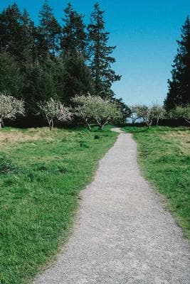 First Roll Ever frame 2