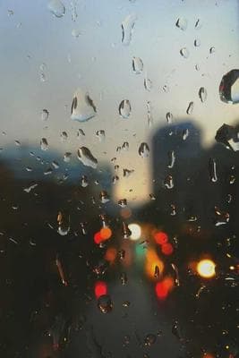 First Roll Ever frame 24