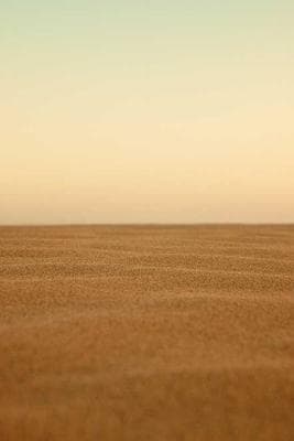 Home & Penn Misc frame 26