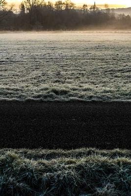 SF Hiking with Vanya & Sid frame 12