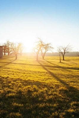 Home & Penn Misc frame 29