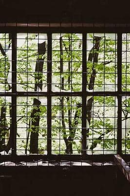 SF Hiking with Vanya & Sid frame 15