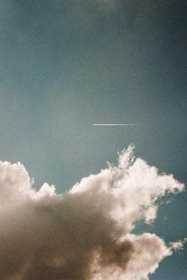 First Roll Ever frame 5