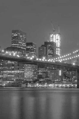 SF Hiking with Vanya & Sid frame 20