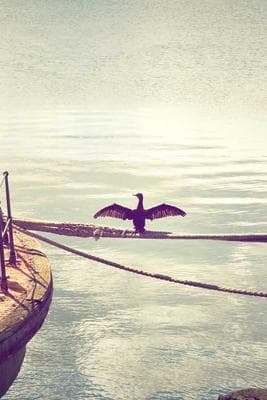 SF Hiking with Vanya & Sid frame 21