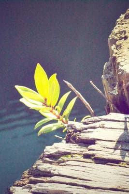 Home & Penn Misc frame 36