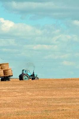 SF Hiking with Vanya & Sid frame 26