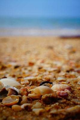 SF Hiking with Vanya & Sid frame 27