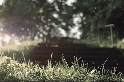 First Roll Ever frame 13